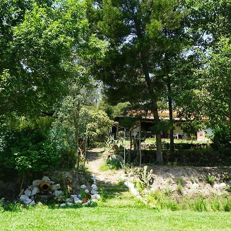 Quinta Do Vale Grande Villa Albergaria-a-Velha Exteriör bild