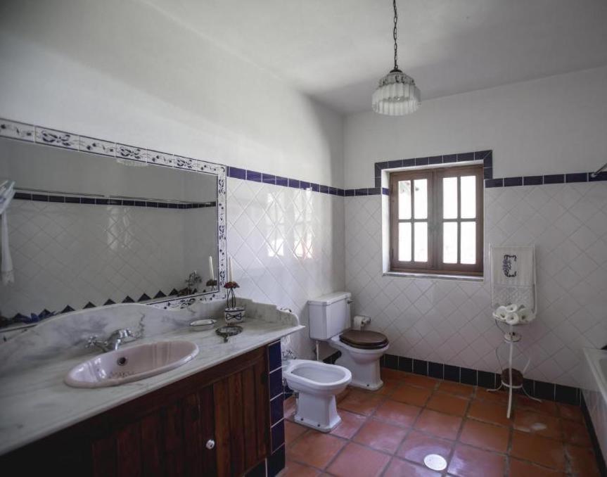 Quinta Do Vale Grande Villa Albergaria-a-Velha Exteriör bild