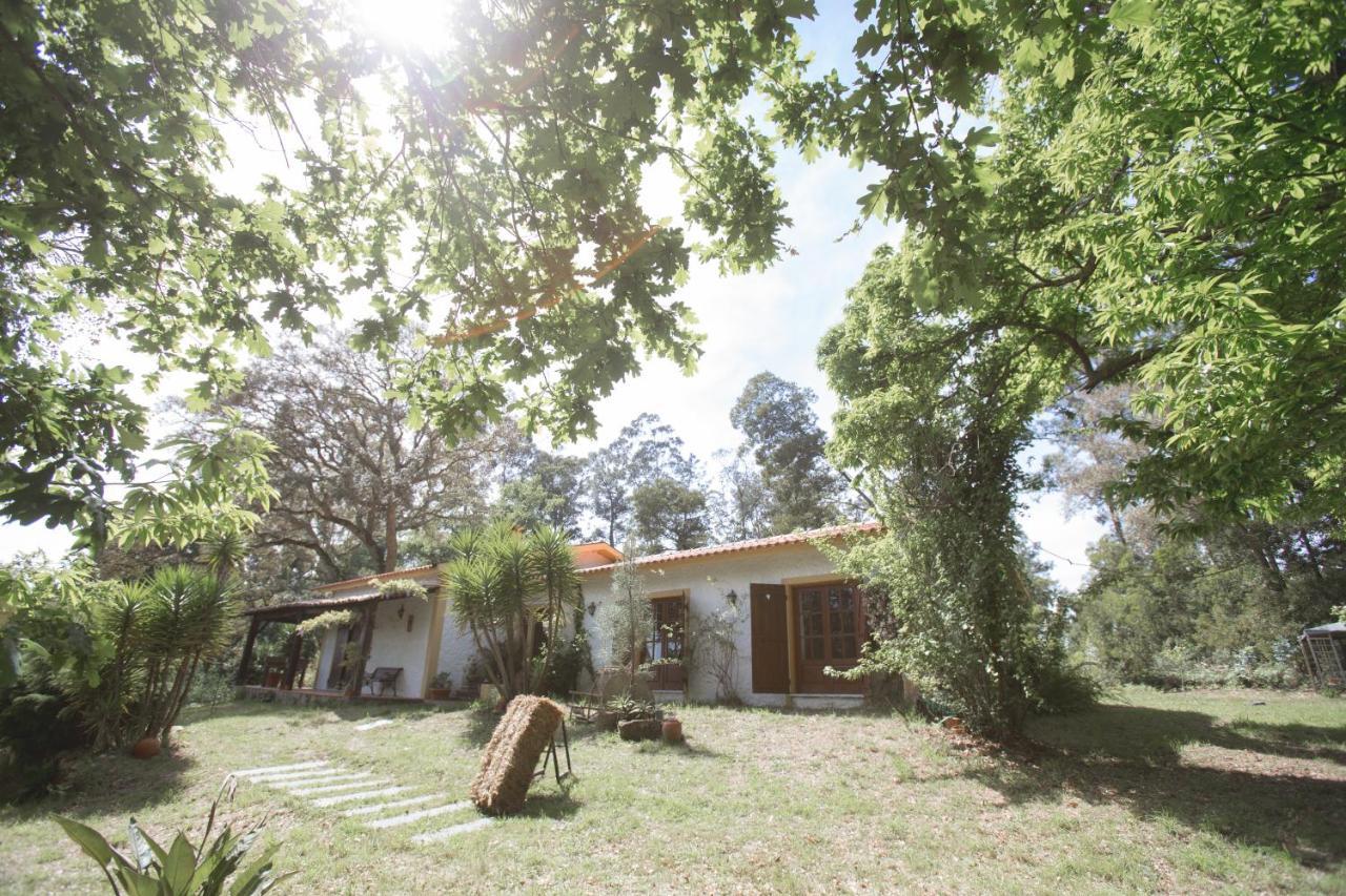 Quinta Do Vale Grande Villa Albergaria-a-Velha Exteriör bild