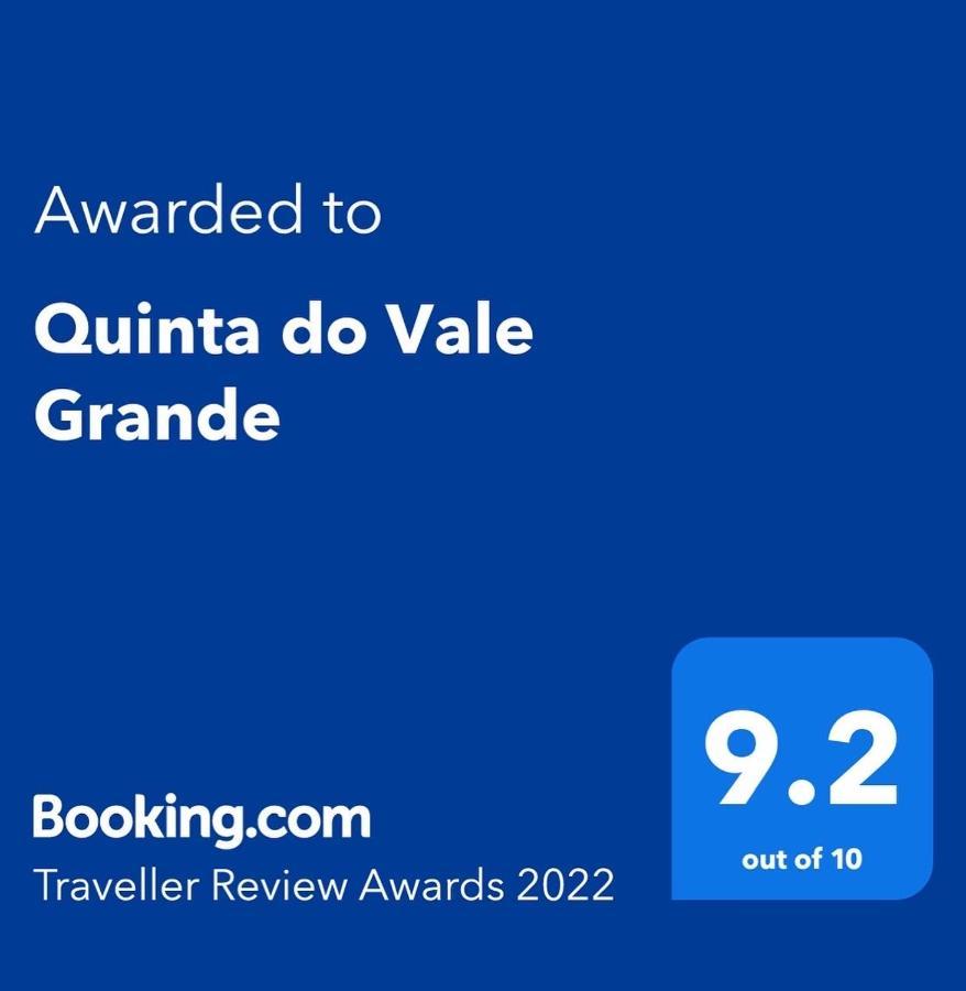 Quinta Do Vale Grande Villa Albergaria-a-Velha Exteriör bild