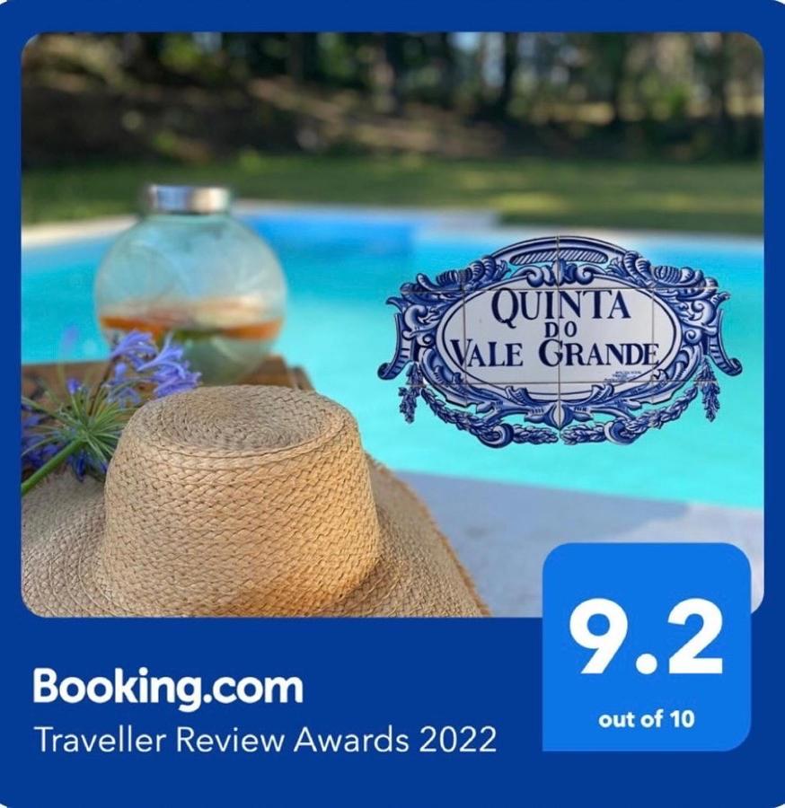 Quinta Do Vale Grande Villa Albergaria-a-Velha Exteriör bild