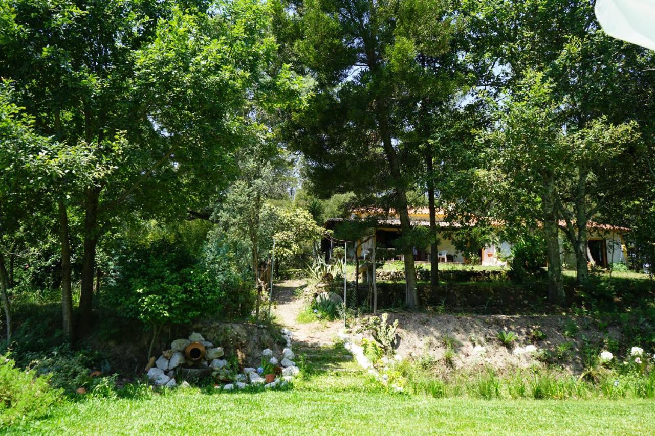 Quinta Do Vale Grande Villa Albergaria-a-Velha Exteriör bild