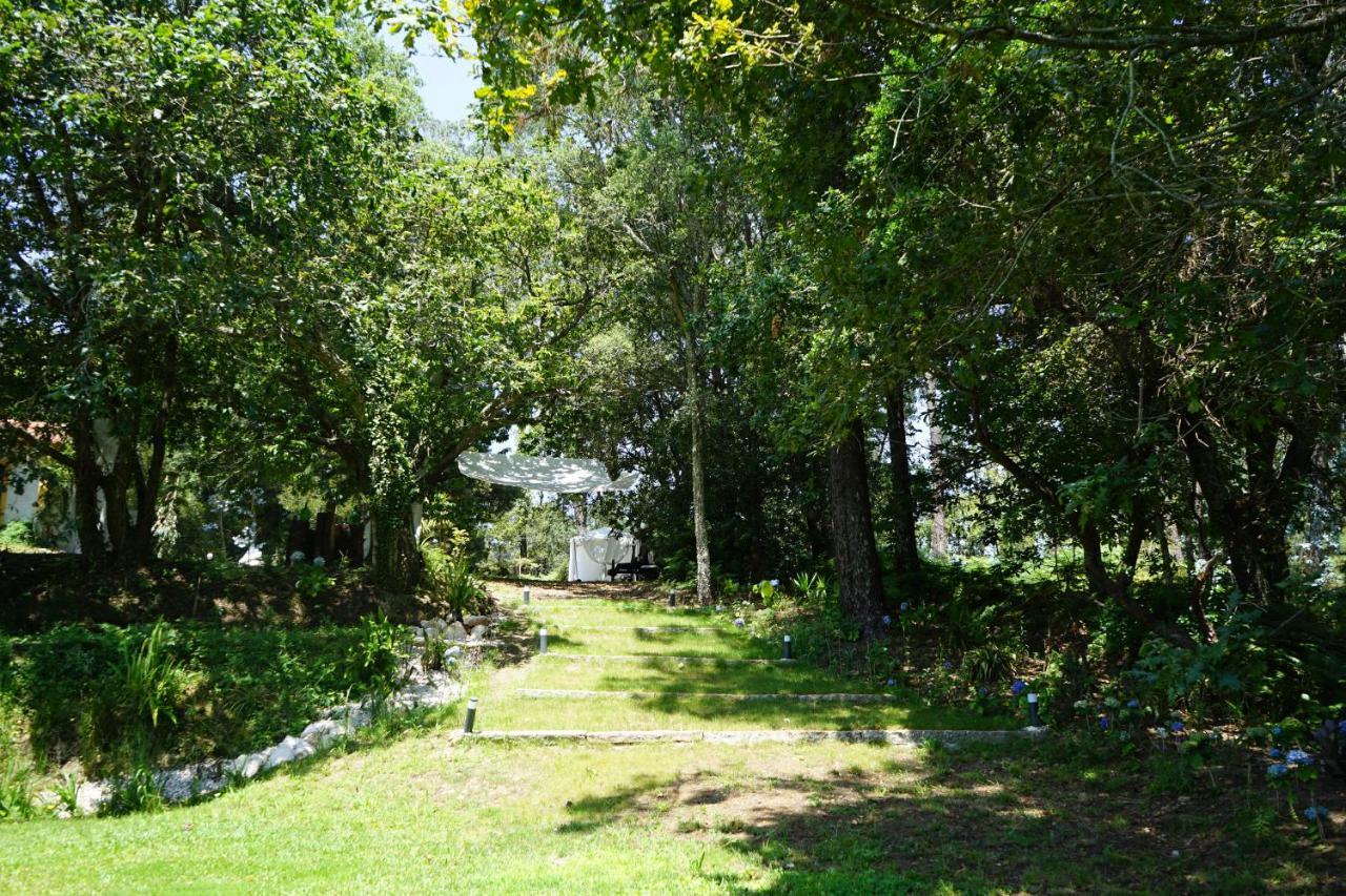 Quinta Do Vale Grande Villa Albergaria-a-Velha Exteriör bild