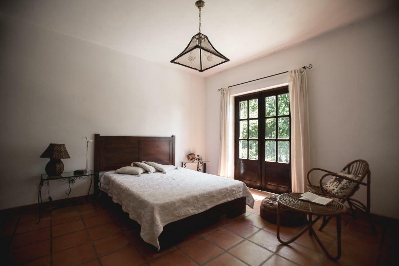 Quinta Do Vale Grande Villa Albergaria-a-Velha Exteriör bild